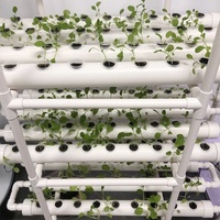 Meerlaags verticaal hydroponisch systeem, 3-laags thuistuinset met pomp en 108 gaten