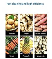 Industriële elektrische groente- en fruitwasmachine, borstelwasmachine, fruit- en appelwasser