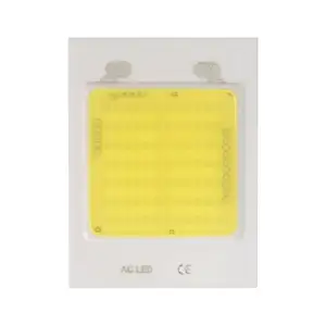 AC COB 10W 20W 30W 100W 110V 220V LED Cob Chip Led Tumbuh Cahaya Spektrum Penuh 200Watt 50 Watt Tumbuh Spektrum Penuh