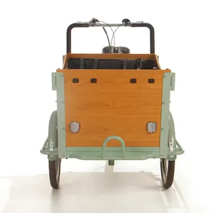 אף אחרים קרוואן קדמי טעינה שלושה גלגל חשמלי מטען אופני המשמש למבוגרים ממפעל למכירה