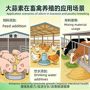 Poudre d'allicine de qualité alimentaire 25 %, extrait naturel d'<span class=keywords><strong>ail</strong></span>, additif améliorant la production d'œufs, promoteur de croissance - Product Image 6