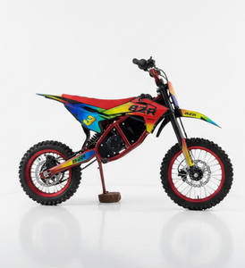 Motocicleta Todoterreno de 800W, Moto Eléctrica de 48V, Motocicleta Todoterreno - Product Image 1
