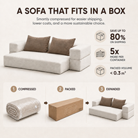 Canapé-lit contemporain pour deux personnes, convertible en lit d'appoint, matelas inclinable avec coussins superposés pour salon et chambre à coucher