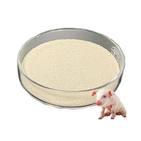 Probiotiques de poisson-chat saccharomyces cerevisiae par kg