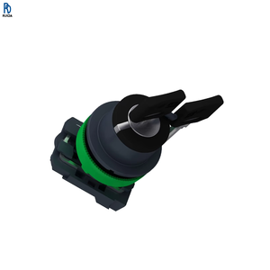 Contrôleur PLC, capteur, interrupteur à clé SPST, borne à vis, IP67, IP69K, IP66, série 455 XB5, neuf d'origine, XB5FG21 - Product Image 1