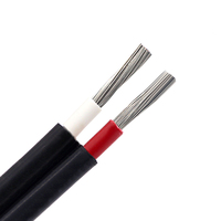 Kabelmanagement-Systeme und Energielösungshersteller XLPE Doppel 2 *4mm2 Solarkabel PV Photovoltaik-System DC Solar-Kabel