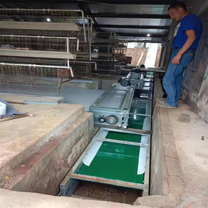 Cages à volailles neuves les plus vendues pour fermes avicoles au Pakistan – Cages à <span class=keywords><strong>poules</strong></span> <span class=keywords><strong>pondeuses</strong></span> en batterie en promotion - Product Image 6