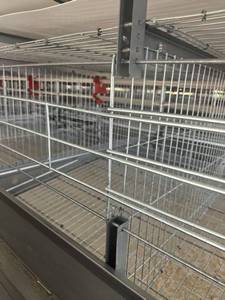 อุปกรณ์ฟาร์มสัตว์ปีก 4 6 7 8 12 ชั้น แบบกรงเลี้ยง<span class=keywords><strong>ไก่</strong></span>ไข่แบบแบตเตอรี่ <span class=keywords><strong>ราคา</strong></span>ประหยัดสำหรับฟาร์ม - Product Image 6