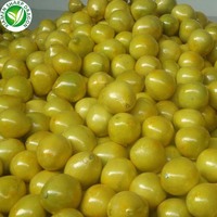 Scherpe Draakverse Zoete Pomelo |   Premium Chinese citrusvruchten leverancier voor wereldwijde kopers van verse producten