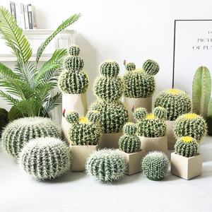 Simulación <span class=keywords><strong>de</strong></span> cactus carnoso planta tropical bonsái decoración interior <span class=keywords><strong>del</strong></span> hogar planta verde en maceta simulación planta verde bonsái - Product Image 6
