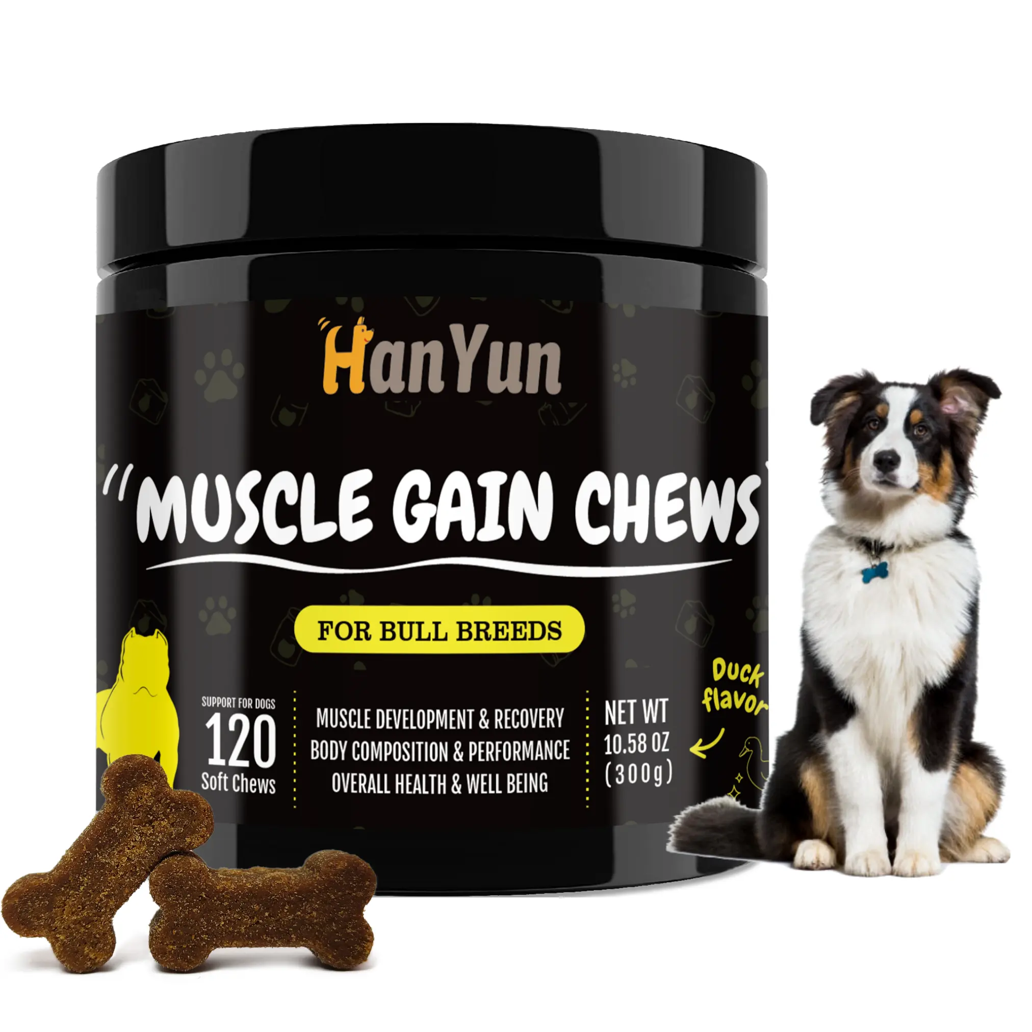 Suplemen hewan peliharaan Chew lembut-pabrik Hanyun-OEM/ODM suplemen penambah berat badan untuk anjing mengurangi penurunan otot anjing penuaan