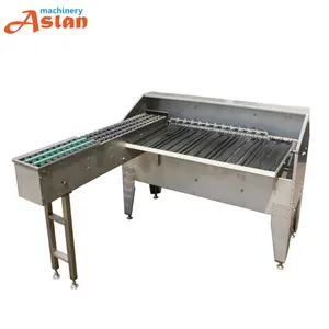 Commercial egg weight grader grading machine chicken duck egg grading processing equipment