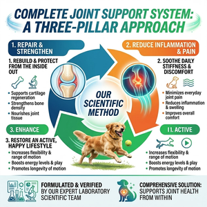 Compléments à mâcher doux pour le soutien des articulations de la hanche avec <span class=keywords><strong>glucosamine</strong></span> pour le cartilage des chiens de grande race et seniors GMP ISO COA - Product Image 3
