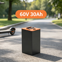 Batterie LiFePO4 scellée 60V 30Ah avec BMS intégré, charge rapide économique pour moto électrique à grande vitesse, utilisation régulière