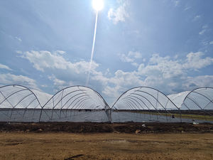 Grande tente <span class=keywords><strong>de</strong></span> serre à une seule couche <span class=keywords><strong>abri</strong></span> <span class=keywords><strong>de</strong></span> pluie en plastique hydroponique pour la culture <span class=keywords><strong>de</strong></span> plants <span class=keywords><strong>de</strong></span> tomates poly imperméable à faible coût pour - Product Image 5