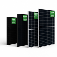 Panneau solaire bifacial à double face en verre anti-déformation à longue durée de vie 500W 600W 700W 720W pour centrale photovoltaïque au sol