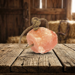 Sel rose de l'Himalaya naturel de haute qualité en forme de carré pour animaux – Fabricant de sel rose de l'Himalaya - Product Image 1