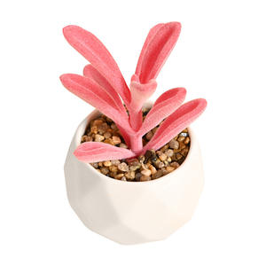 Piante Artificiali in Vaso di Plastica Serie <span class=keywords><strong>Rosa</strong></span>, Bonsai Succulente Artificiali, Decorazione Paesaggistica in Miniatura - Product Image 6