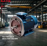 Moteur asynchrone triphasé AC industriel IE3 à protection totale, 0,25 KW-125HP, 380V, 50Hz, efficacité IE3