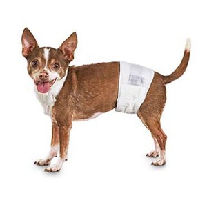 <span class=keywords><strong>Pañales</strong></span> <span class=keywords><strong>desechables</strong></span> de perro macho a prueba de fugas ecológicos ultra gruesos <span class=keywords><strong>para</strong></span> perro macho - Product Image 1