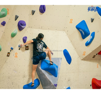 L'escalade en forme de flèche Downclimb Jug Down Climb tient pour la salle de sport d'escalade professionnelle