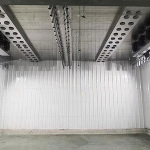 Cámara de Descongelación de Carne Congelada de Alta Eficiencia con Sistema de Control de Baja Temperatura y Alta Humedad - Product Image 3