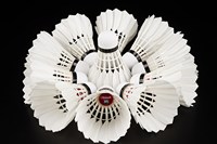 Ancien prix pour volants de Badminton blanc, professionnel, solide, anti-chute, ratio de 76/77/78