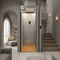 Ascenseur résidentiel pour passagers, mini-ascenseur pour villas, fabrication et fourniture en usine pour projets de maisons de luxe et distributeurs