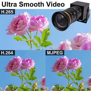 Elp 4k USB Camera An Ninh Varifocal CS 5-50mm Ống kính Hướng dẫn sử dụng 10x Zoom H.265 H.264 máy ảnh công nghiệp UVC cho cuộc gọi video, máy in 3D - Product Image 6