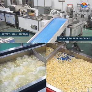 Machine industrielle de blanchiment de fruits à l'eau chaude PT-1000 en acier inoxydable 304 - Product Image 5