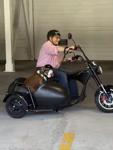 Tricycle électrique à pneus larges 2026 3000W avec side-car, vélo électrique pour transporter des animaux, trois roues, assistance au pédalage, 4000W, vélo de route avec side-car, <span class=keywords><strong>chopper</strong></span> - Product Image 3