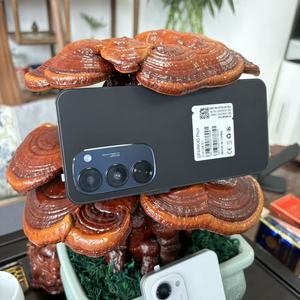 โทรศัพท์มือถือ S26 Ultra 22GB+2TB รุ่นทั่วโลก รองรับ 5G คุณภาพสูง ระบบปฏิบัติการ Android 15 สมาร์ทโฟนแบบสองซิม S26 Ultra โทรศัพท์มือถือ - Product Image 3
