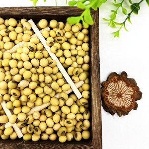 Grains <span class=keywords><strong>de</strong></span> <span class=keywords><strong>soja</strong></span> crus <span class=keywords><strong>de</strong></span> haute qualité, en sachet, graines <span class=keywords><strong>de</strong></span> <span class=keywords><strong>soja</strong></span> en vrac biologique pour aliments - Product Image 4