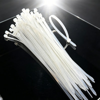 Attaches-câbles en plastique blanc en promotion, 8 pouces, nylon 66, autobloquants, fixation robuste, pour câbles de 2,5 mm, durables, résistants à la chaleur, pour usage extérieur