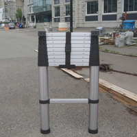 Échelle télescopique en alliage d'aluminium pliable certifiée TUV EN131-6:2019, 2,9 m, 10 marches, utilisation à domicile, salle de sport, utilisation extérieure, grenier