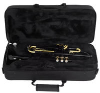 Wholesale/OEM/Factory Price Wind Instrument B Flat Brass Trumpet Professional Musical Instrument TMP-JY11 Trumpet Gold