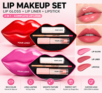 Ensemble de maquillage de luxe en forme de lèvres avec logo personnalisé en gros, collection de gloss, crayon à lèvres et rouge à lèvres, ensemble cosmétique OEM ODM