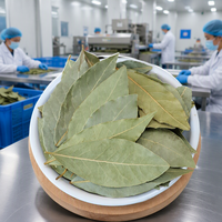 Feuilles de Laurier Séchées Entières Laurus Nobilis Épice Naturelle pour la Cuisine Vente en Gros Qualité Alimentaire