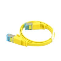 Pasokan Pabrik Kabel RJ45 FTP Flat Network Patch Cord Cat6A Cat6 Lan Patch Cable ukuran 0.5m 1m 2m 3m 5m 10m 15m 20m 30m 40m 50m 100m