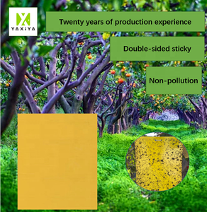 Vente en gros de pièges à mouches à fruits Serre à mouches pour verger Pièges à insectes collants jaunes pour champignons Moucherons - Product Image 5