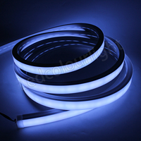 Lumières disco DMX LCL 3020 RGB pleine couleur, néons flexibles pour intérieur et extérieur, pour application en club de nuit