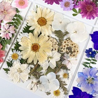 ZS038 Vente en Gros Plantes Naturelles Déshydratées DIY 25 Pièces Fleurs Séchées Pressées pour Résine Cadeaux de Festival Décoration