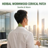 Autocollant cervical à base de plantes Work Life, OEM, marque privée, faible MOQ, vente en gros, fournisseur en vrac, dropshipping, unisexe, adultes, soulagement des douleurs dorsales