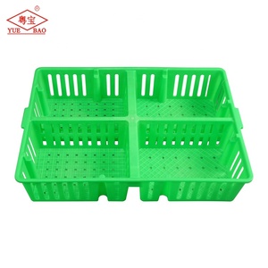 Cajas de transporte de pollos de plástico a precio competitivo-Caja de pollitos viejos de día Transporte de pollitos - Product Image 3