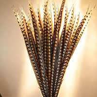 Plumes de faisan de haute qualité pour accessoires de spectacle théâtral, coiffes de défilé, accessoires de cosplay d'Halloween, fabrication d'attrape-rêves