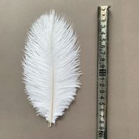 Plumes d'autruche artificielles décoratives colorées de 15-20 cm pour arrière-plan photo tendance et arrangements de gâteaux