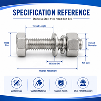 M6 M8 M10 Grade 8 Custom Stainless Steel Hexagon Ss 304 Nut and Bolts Hex Head Allen Flush Bolt and Nut Manufacturers and Fasten