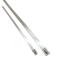 Selbstsichernde Edelstahl-Kabelbinder 4,6x300mm 8mmx300mm