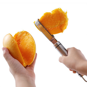 Nouveauté 304 outil de cueillette de fruits en acier inoxydable multifonctionnel ananas mangue couteau semoir à fruits - Product Image 5
