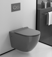 Toilette murale suspendue de haute qualité noir mat coloré Wc WC suspendus ensemble de toilettes